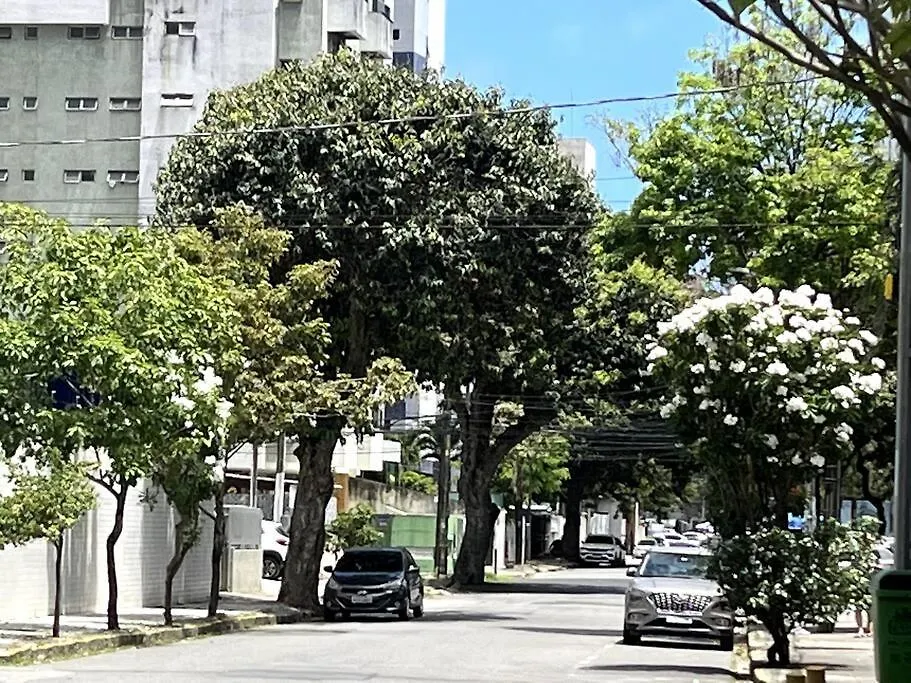 Flat Encantador 